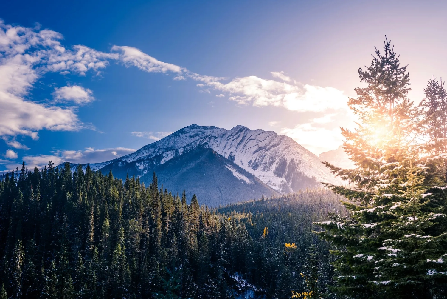 CR -Touristikberatung – Dieses Bild zeigt einen malerischen Blick auf eine schneebedeckte Bergkette, die sich wahrscheinlich im Banff-Nationalpark in Kanada befindet, während eines Sonnenaufgangs oder Sonnenuntergangs.